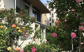 Stadtoase Koblenz